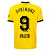 Original Fußballtrikot Borussia Dortmund Haller 9 Heimtrikot 2023-24 Für Herren